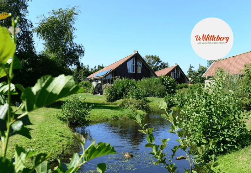 Reviewerr-Case-Study-Images-7-min-4 Vakantiepark De Witteberg